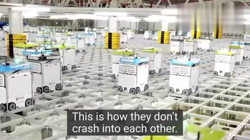 國(guó)內(nèi)倉庫 機(jī)器人包裝食品雜貨的科技革命